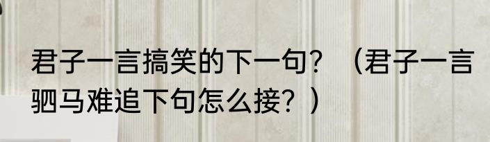 君子一言搞笑的下一句？（君子一言驷马难追下句怎么接？）