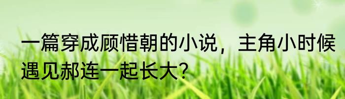 一篇穿成顾惜朝的小说，主角小时候遇见郝连一起长大？