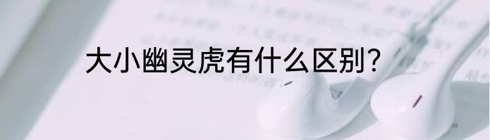 大小幽灵虎有什么区别？