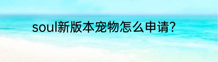 soul新版本宠物怎么申请？
