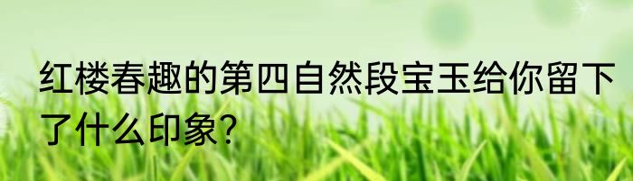 红楼春趣的第四自然段宝玉给你留下了什么印象？