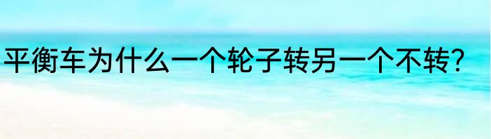 平衡车为什么一个轮子转另一个不转？