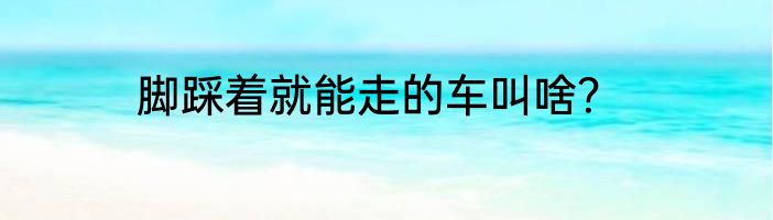 脚踩着就能走的车叫啥？