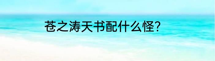 苍之涛天书配什么怪？