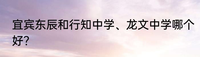 宜宾东辰和行知中学、龙文中学哪个好？