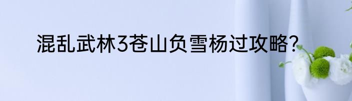 混乱武林3苍山负雪杨过攻略？