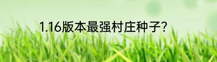 1.16版本最强村庄种子？