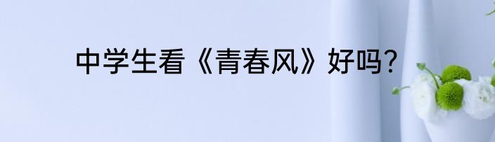 中学生看《青春风》好吗？