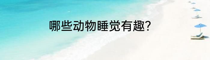 哪些动物睡觉有趣？