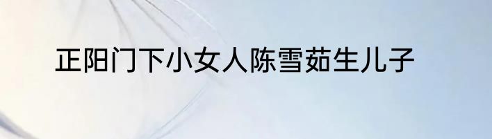 正阳门下小女人陈雪茹生儿子