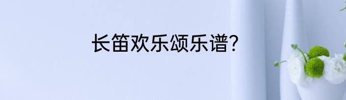 长笛欢乐颂乐谱？