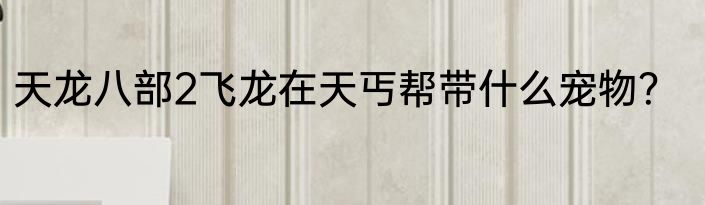 天龙八部2飞龙在天丐帮带什么宠物？