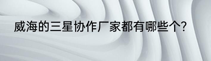 威海的三星协作厂家都有哪些个？