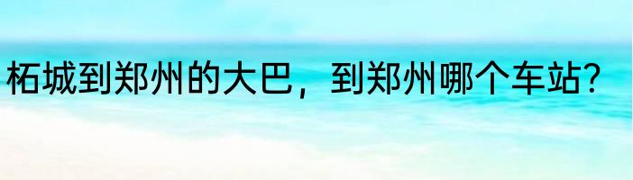 柘城到郑州的大巴，到郑州哪个车站？