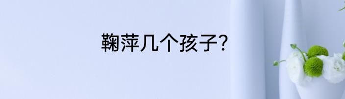 鞠萍几个孩子？