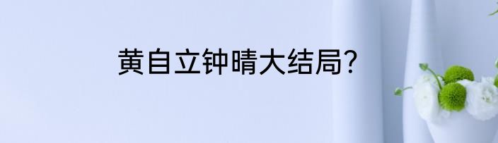 黄自立钟晴大结局？