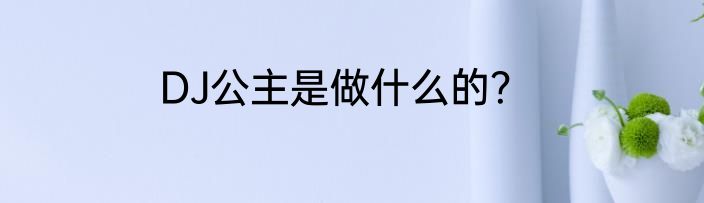 DJ公主是做什么的？