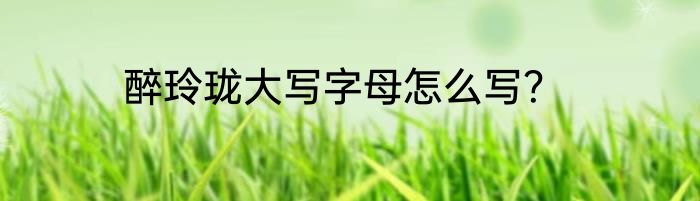 醉玲珑大写字母怎么写？