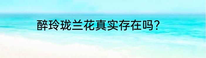 醉玲珑兰花真实存在吗？