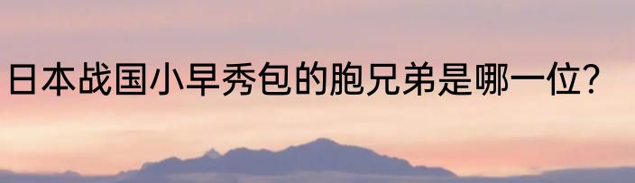 日本战国小早秀包的胞兄弟是哪一位？