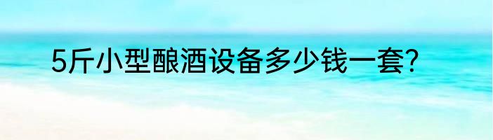 5斤小型酿酒设备多少钱一套？