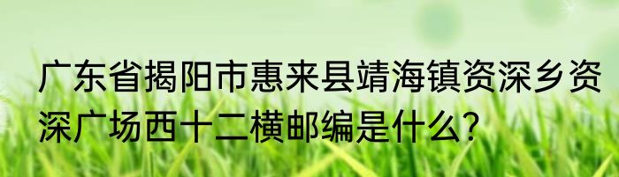 广东省揭阳市惠来县靖海镇资深乡资深广场西十二横邮编是什么？