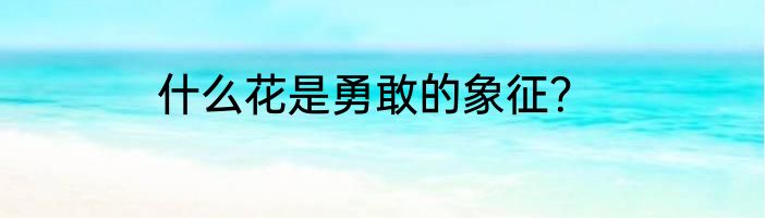 什么花是勇敢的象征？