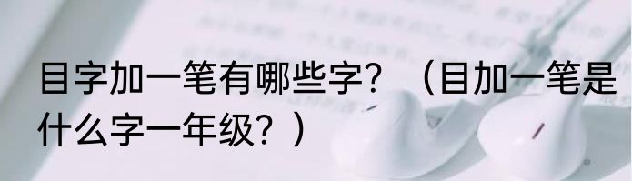 目字加一笔有哪些字？（目加一笔是什么字一年级？）