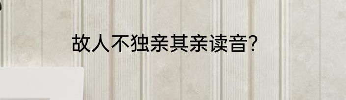 故人不独亲其亲读音？