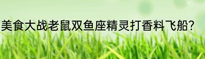 美食大战老鼠双鱼座精灵打香料飞船？