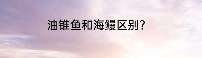 油锥鱼和海鳗区别？