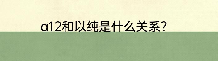 a12和以纯是什么关系？