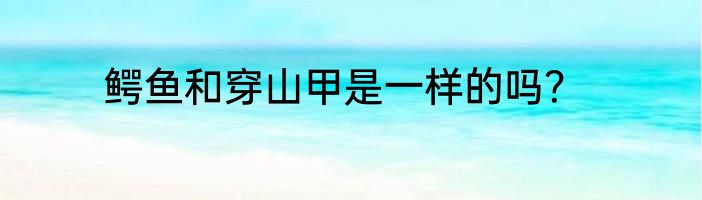 鳄鱼和穿山甲是一样的吗？
