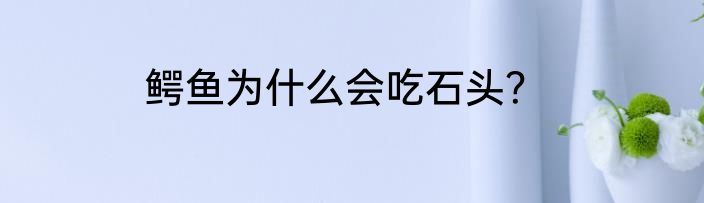 鳄鱼为什么会吃石头？