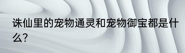 诛仙里的宠物通灵和宠物御宝都是什么？