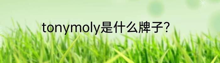 tonymoly是什么牌子？