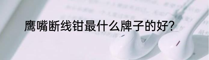 鹰嘴断线钳最什么牌子的好？