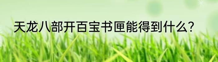 天龙八部开百宝书匣能得到什么？