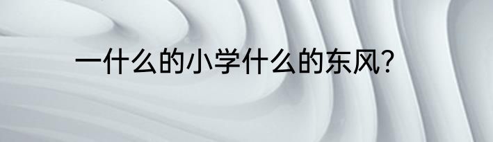 一什么的小学什么的东风？