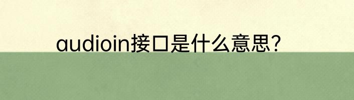 audioin接口是什么意思？
