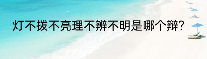 灯不拨不亮理不辨不明是哪个辩？