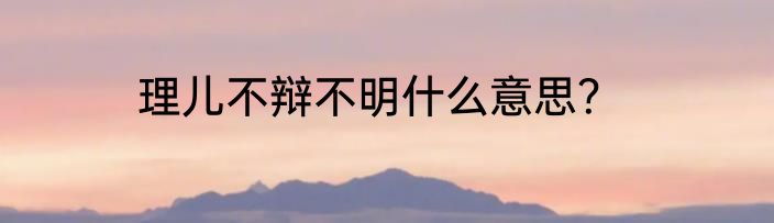 理儿不辩不明什么意思？