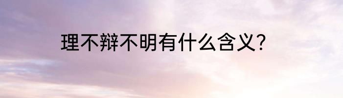 理不辩不明有什么含义？