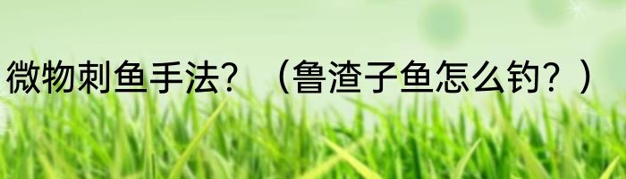 微物刺鱼手法？（鲁渣子鱼怎么钓？）
