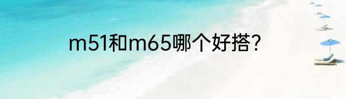 m51和m65哪个好搭？