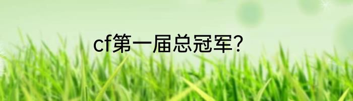 cf第一届总冠军？