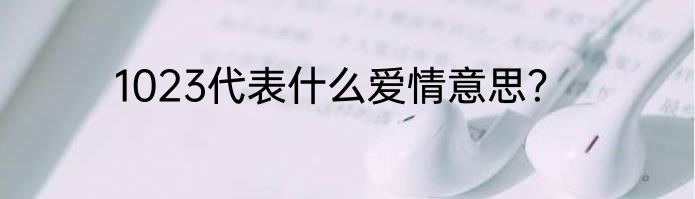 1023代表什么爱情意思？