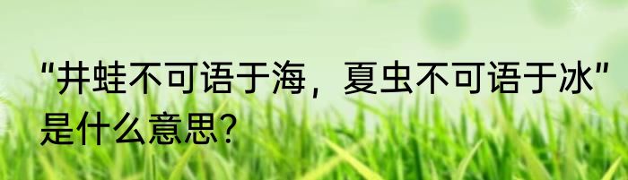 “井蛙不可语于海，夏虫不可语于冰”是什么意思？
