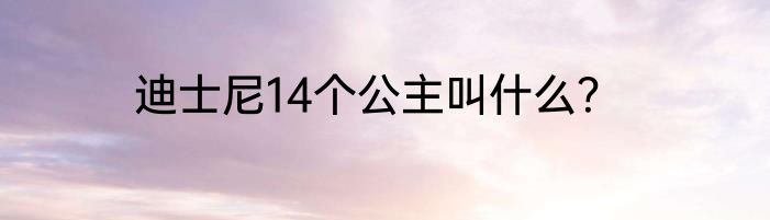 迪士尼14个公主叫什么？