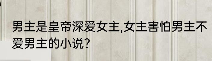 男主是皇帝深爱女主,女主害怕男主不爱男主的小说？
